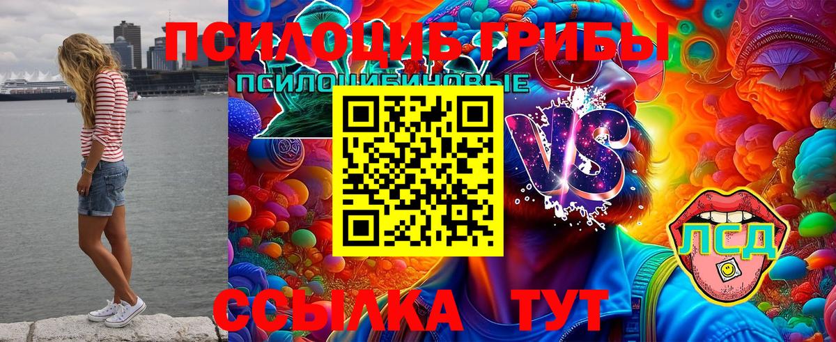 Истра  Псилоцибиновые грибы Psilocybine cubensis  Псилоцибиновые грибы Magic Shrooms  Вход с VPN 